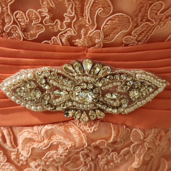 Pink new with tags wedding lace dress size 10 - Picture 5 of 10